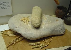 Quern used for grinding wheat by hand for the Jewish Diet